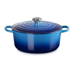 Le CreusetBräter mit Deckel 20 cm Signature Limited Edition Flamme Dorée